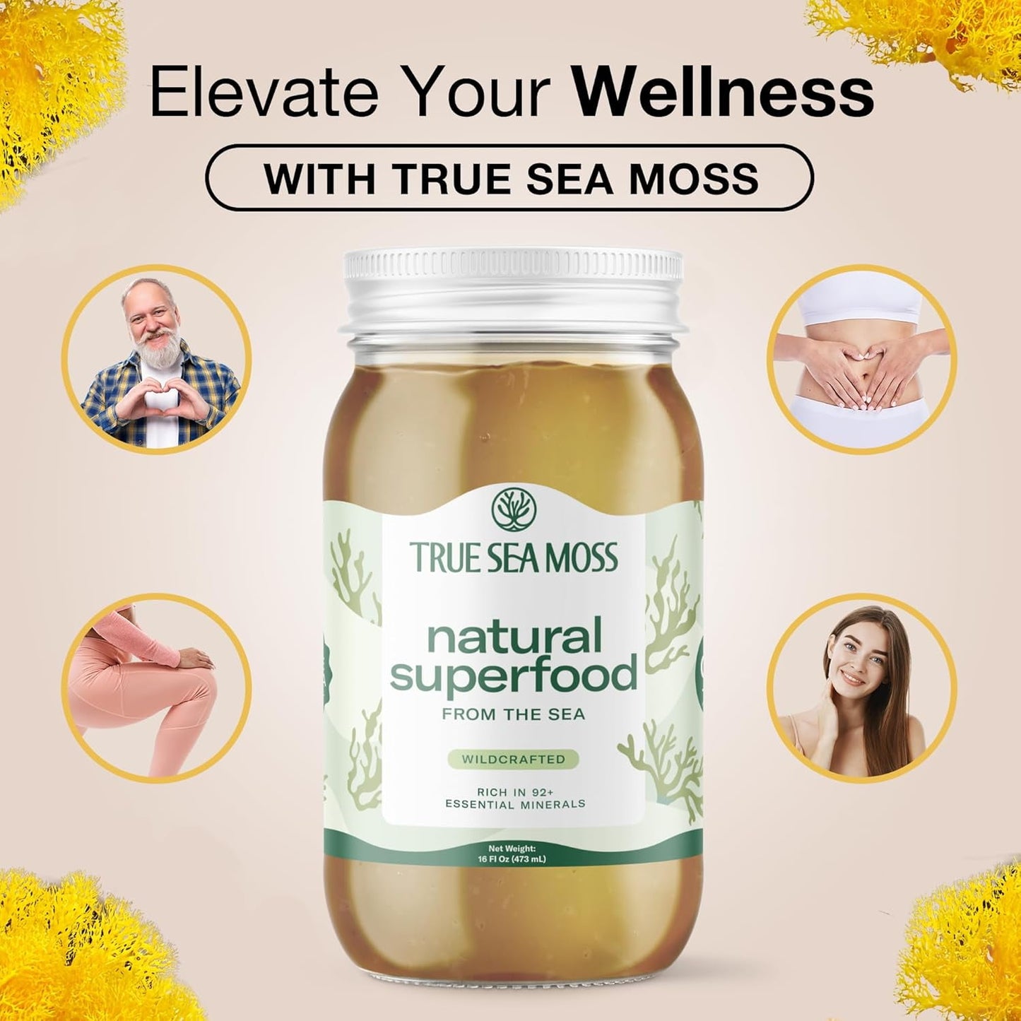 Trueseamoss Wildcrafted Irish Sea Moss Gel - Raw Sea Moss Supplement for Immune and Thyroid Support, Original, 16 oz