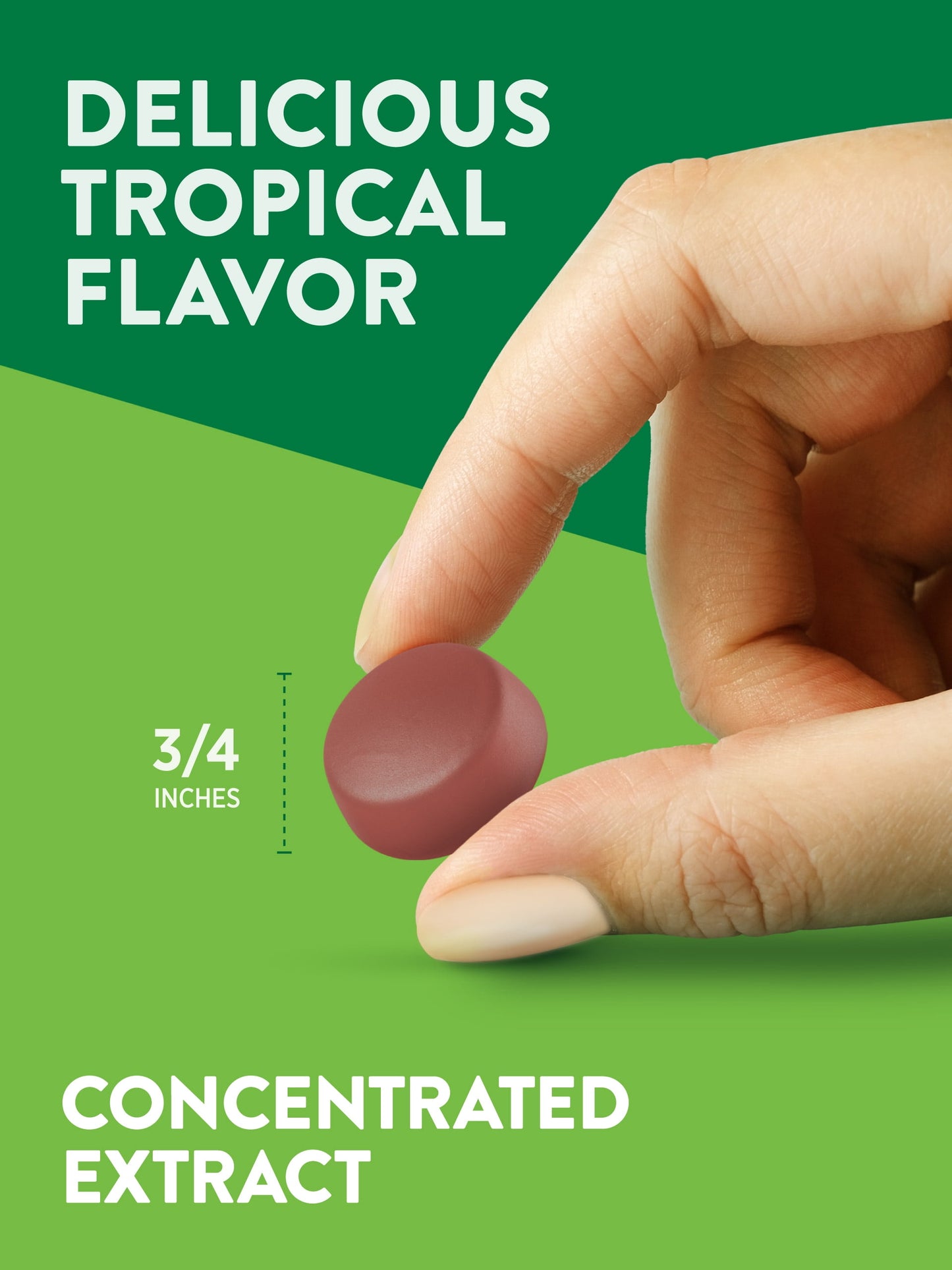 Ashwagandha Gummies | For Men and Women | 60 Tropical Flavor Gummies | by Natures Truth