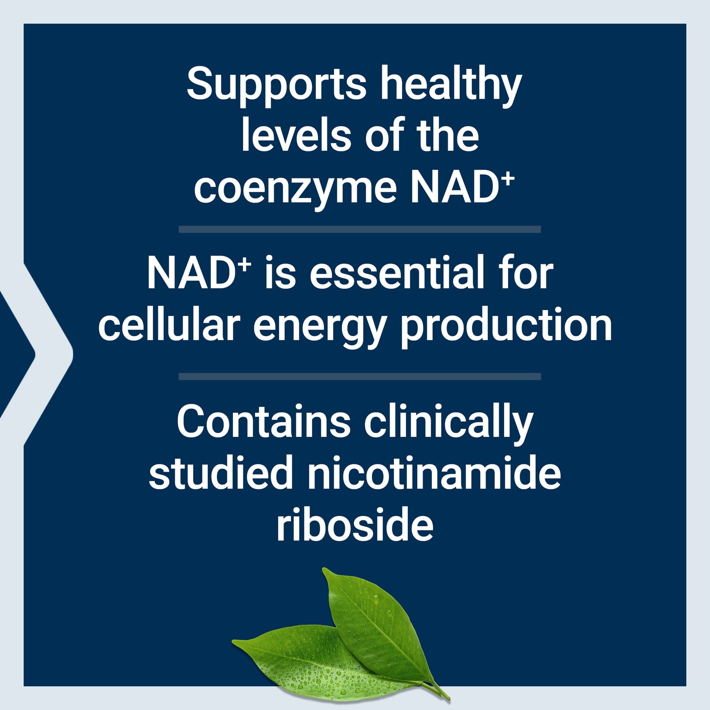 Life Extension NAD+ Cell Regenerator™* Nicotinamide Riboside 300 mg, 30 vegetarian capsules