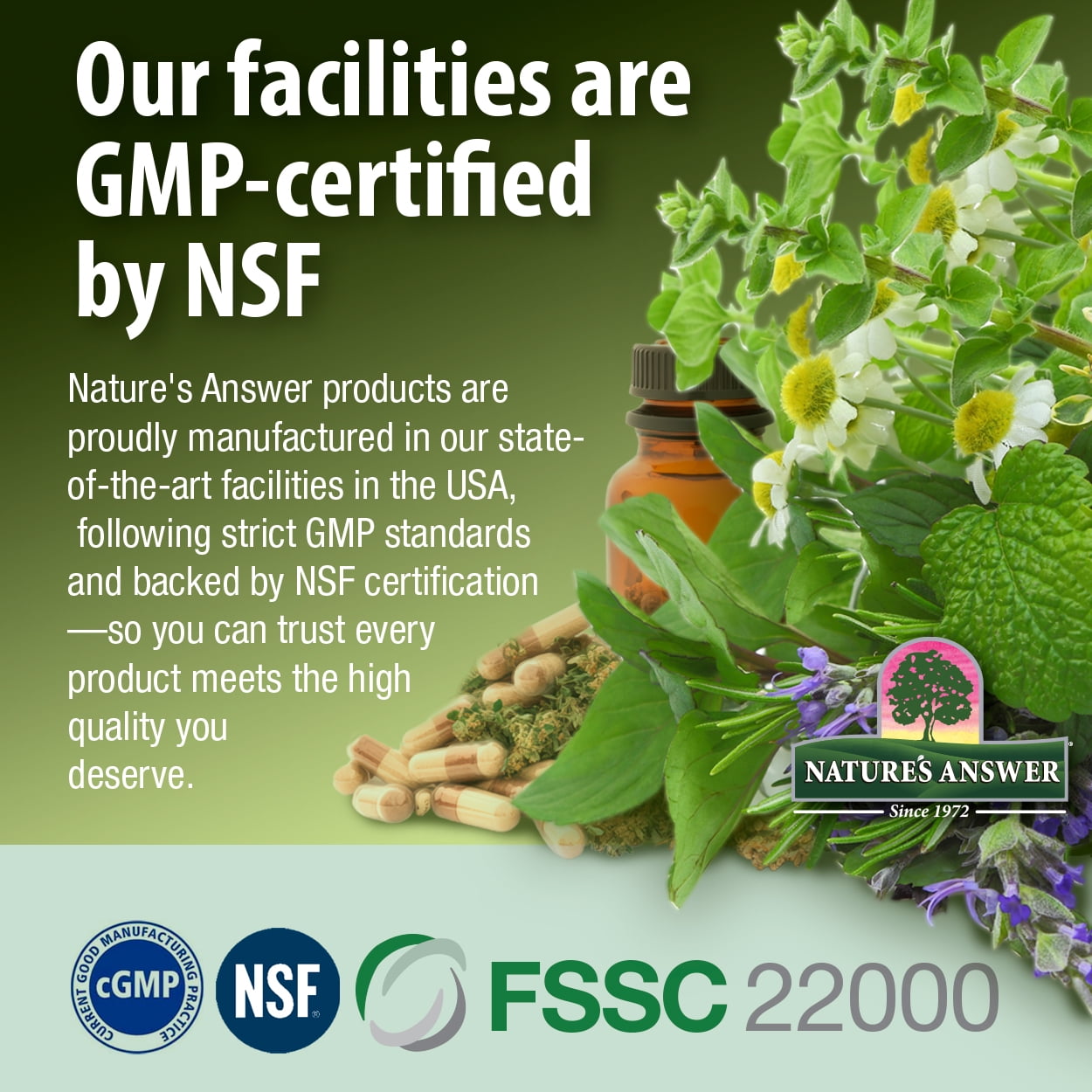 Nature’s Answer Horsetail Extract 2,000 mg, Alcohol-Free, Herbal Supplement, 1 fl oz