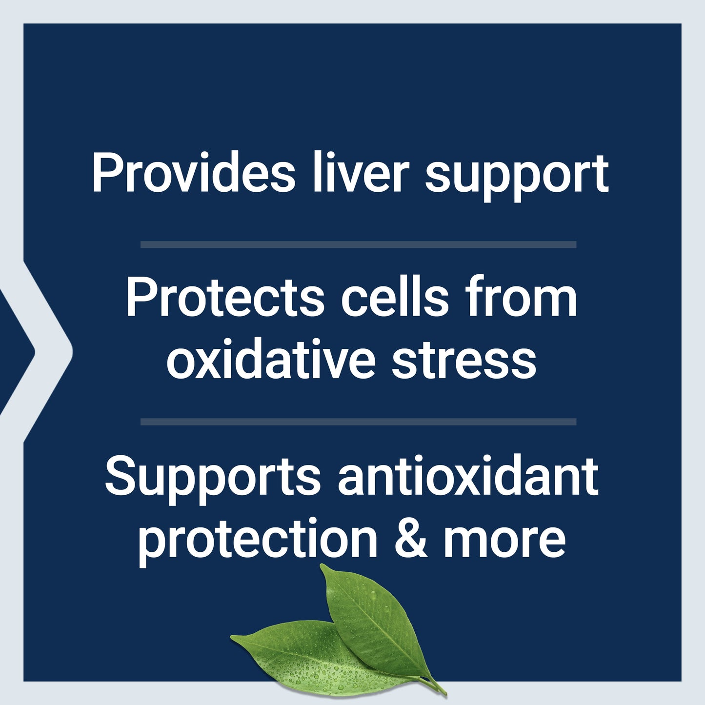 Life Extension Glutathione, Cysteine & C, 500 mg of Vitamin C, Powerful antioxidant Supplement to Support Liver Health, Gluten-Free, Non-GMO, 100 Capsules