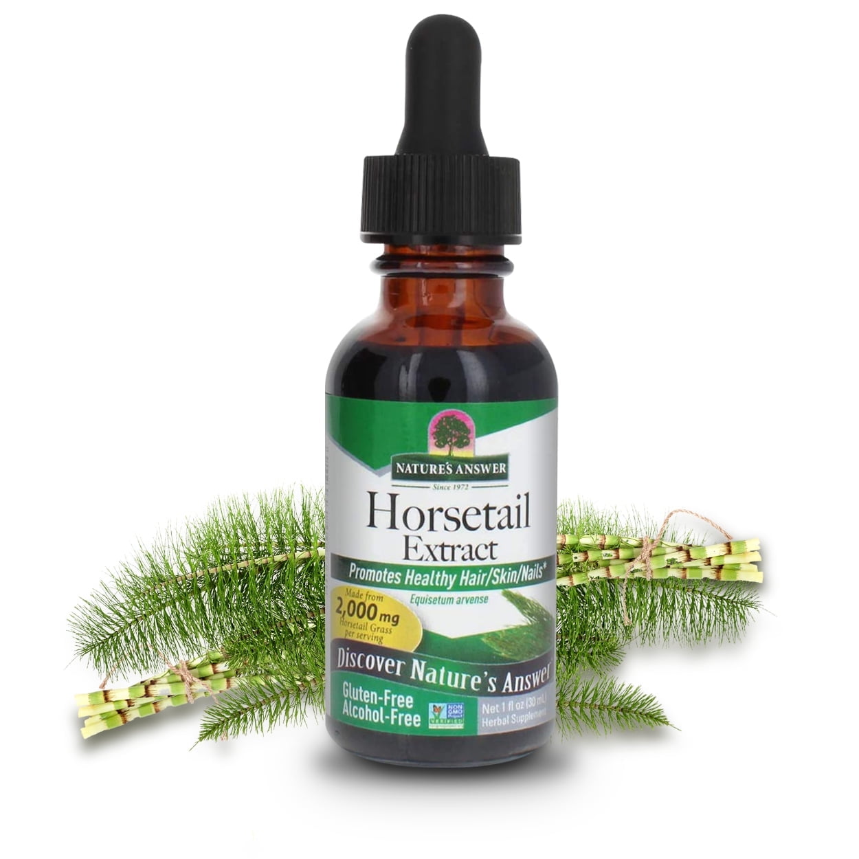 Nature’s Answer Horsetail Extract 2,000 mg, Alcohol-Free, Herbal Supplement, 1 fl oz