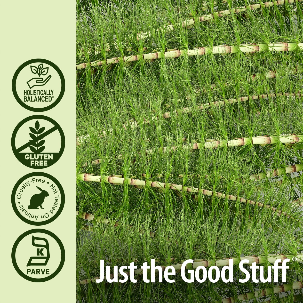 Nature’s Answer Horsetail Extract 2,000 mg, Alcohol-Free, Herbal Supplement, 1 fl oz