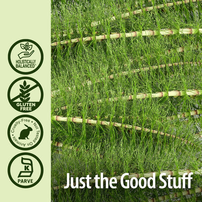 Nature’s Answer Horsetail Extract 2,000 mg, Alcohol-Free, Herbal Supplement, 1 fl oz